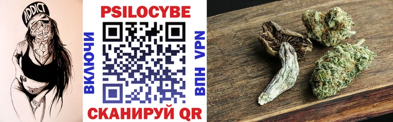 Галлюциногенные грибы Psilocybe  Нефтеюганск 